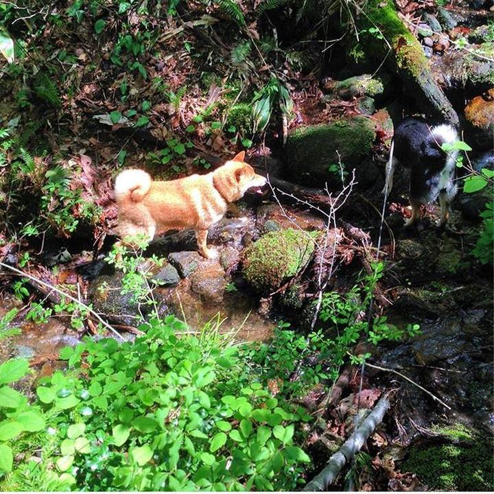 76782209 a8ce 4a4a a63c 9bd0b7e95d3b