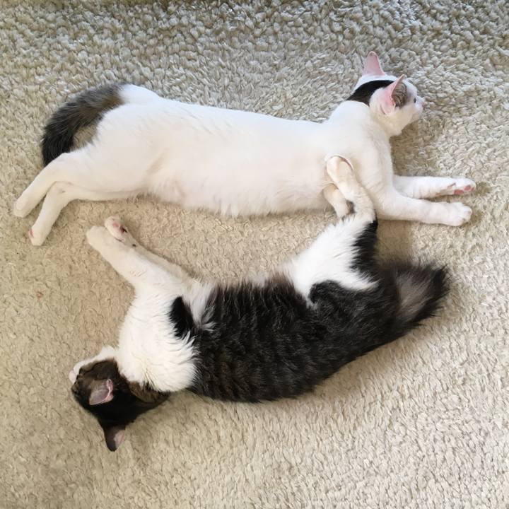 767903ef b28d 43d6 b780 fb9513e5673d