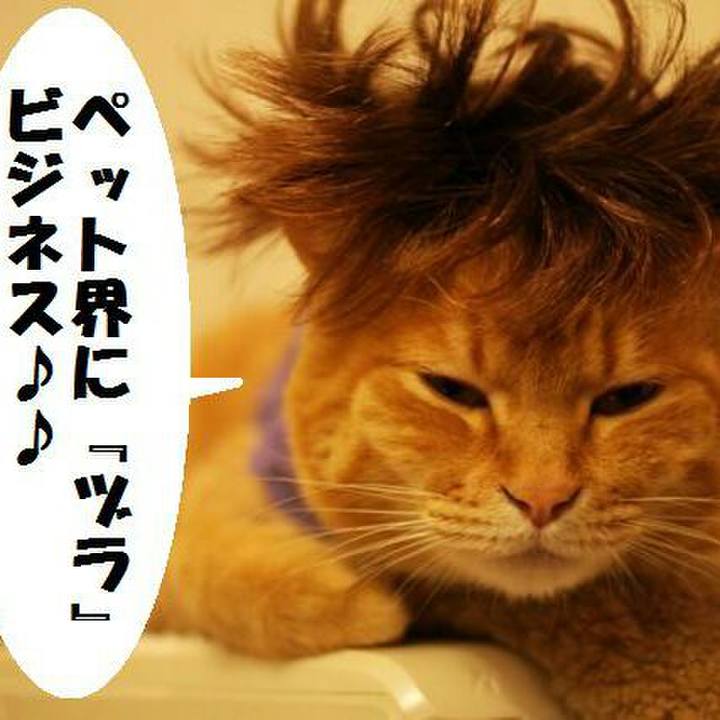 76797718 66b0 4b17 8cec 68a35fd13ca3