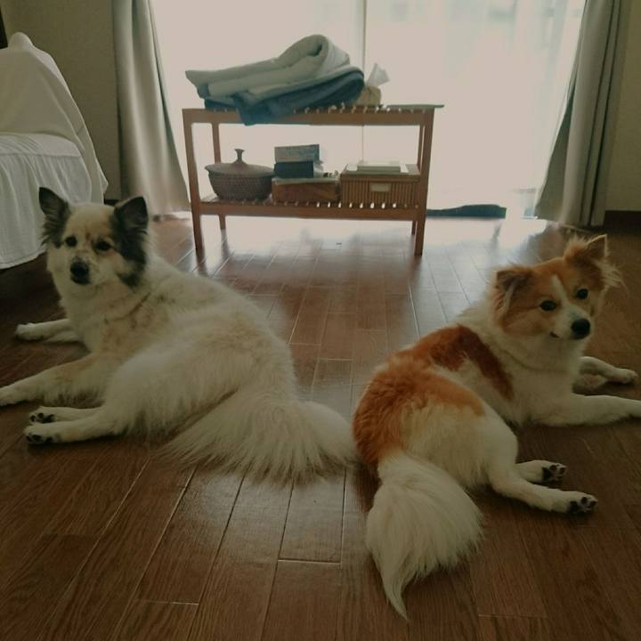 76797883 c1de 4ac6 9b79 58d30a373a4e