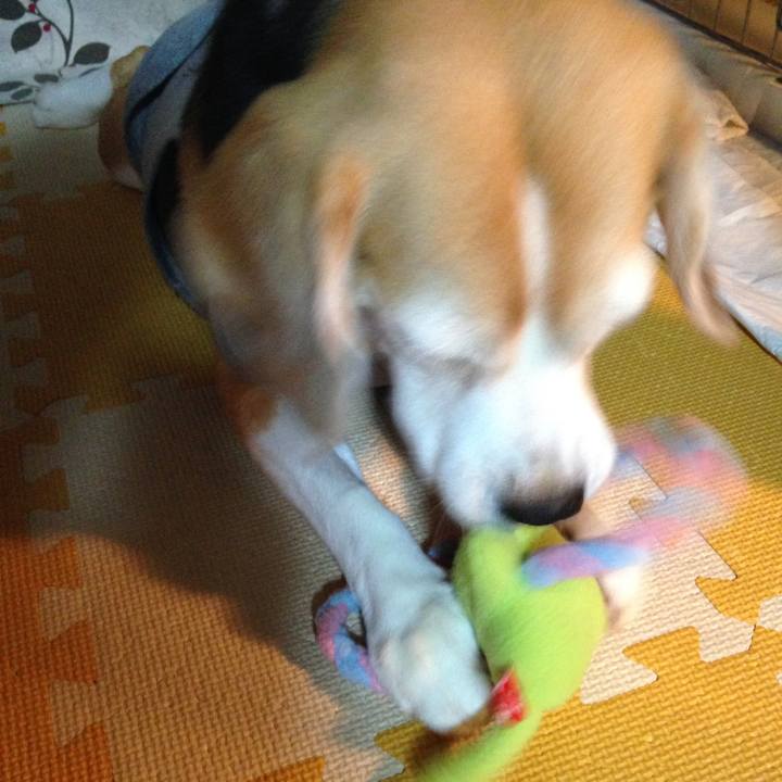 767a955e aae5 4d92 8ba1 ebf49e14842e