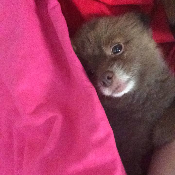 767b7f0a c5c6 4485 8558 9da3eafc6284