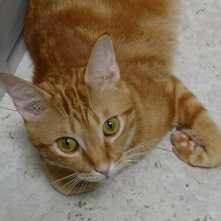 767c94b9 2893 4da0 b6c4 97b281dd7507