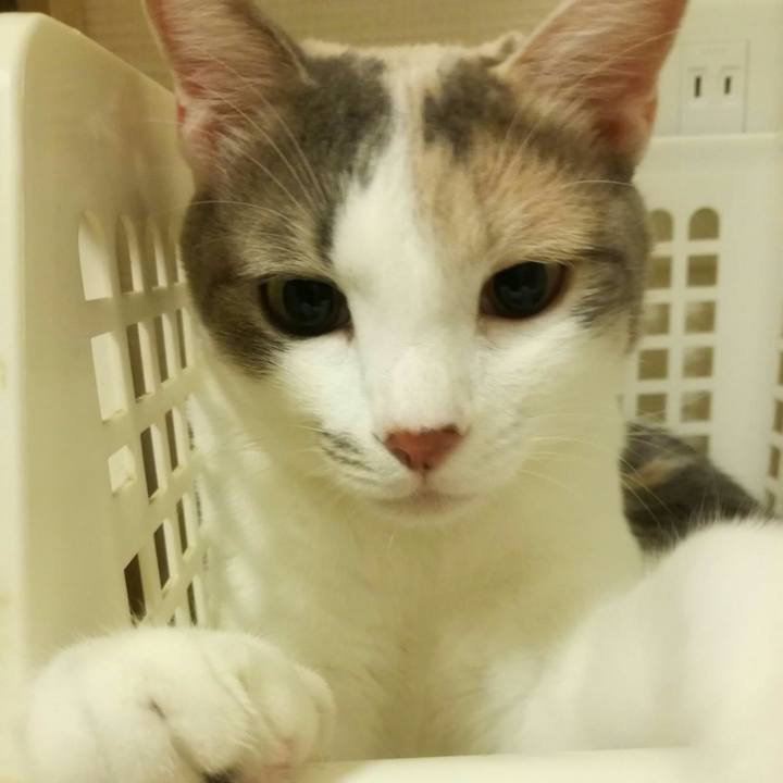 767d48e4 18a6 467c 9327 f120789e8619