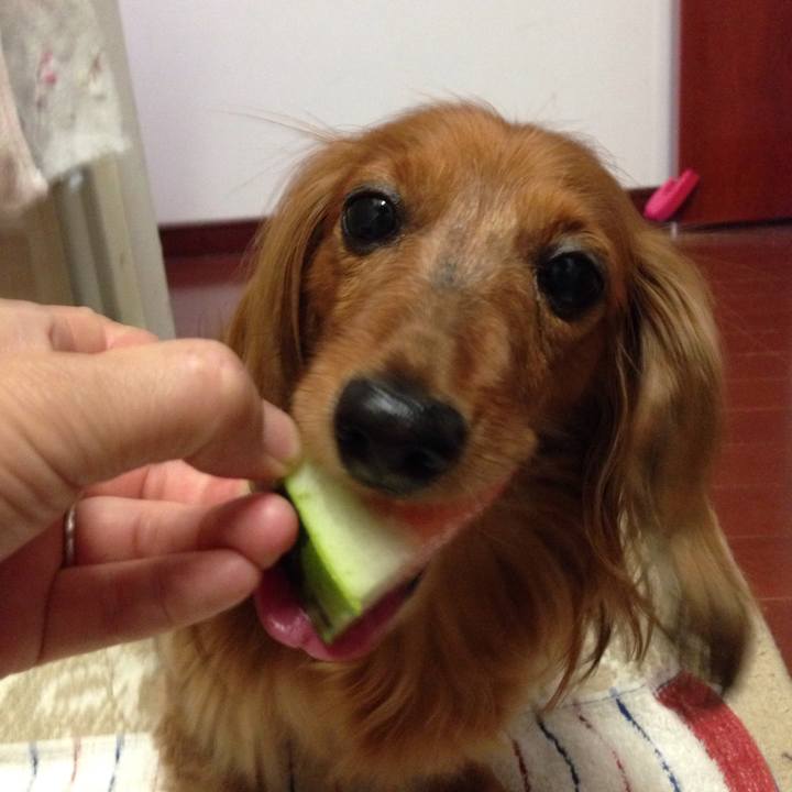 767d5b55 5dc3 4e56 a6ad d98638efb2d7