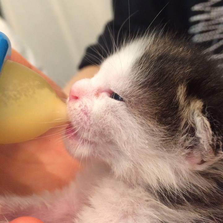 767d76c5 a90c 4b7c 9ea7 81d65dccb75d