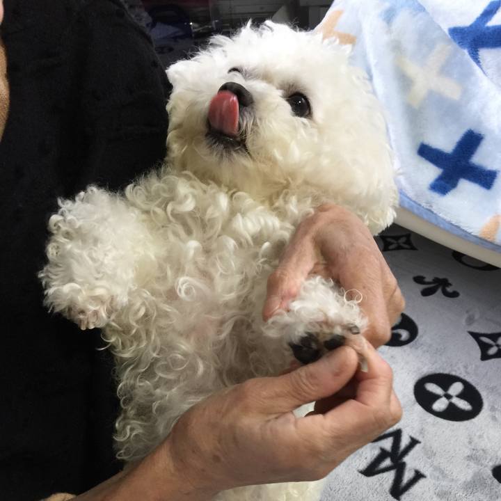 767d80ff d8fe 4857 82a6 3a825fcd5b50