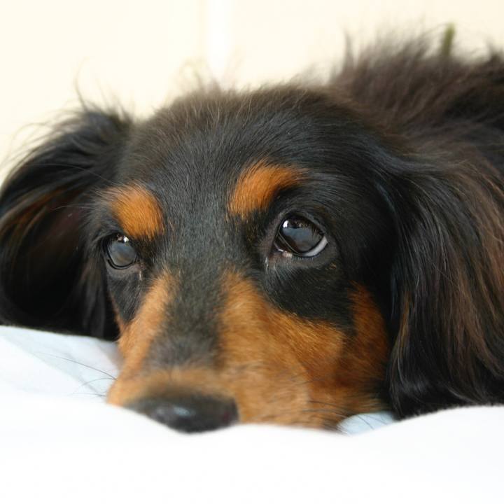 767daa71 09e9 4a63 80be 6d7f681ad8cc