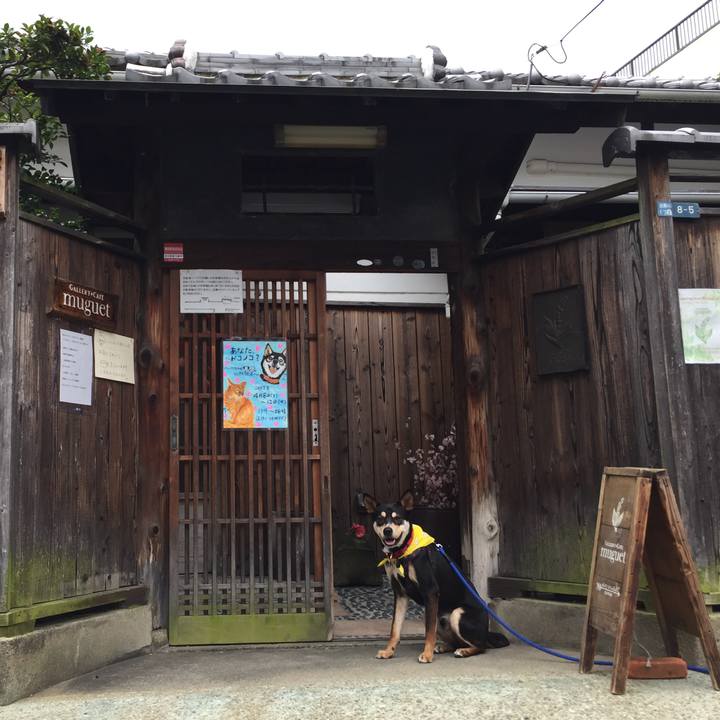 767e770f 66de 415a acaa 17530c06f8f4