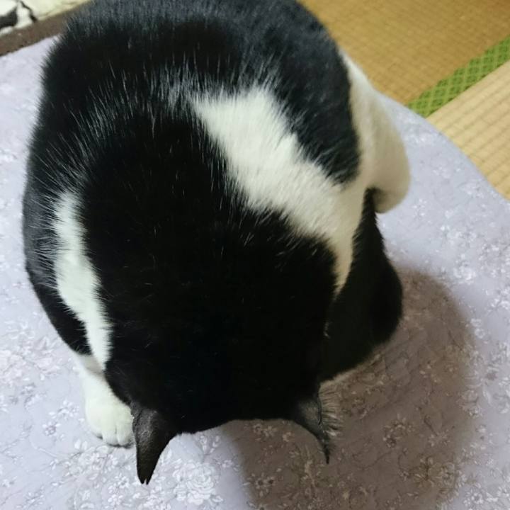 767ea339 51e4 4409 9b6d bc7abf79d889