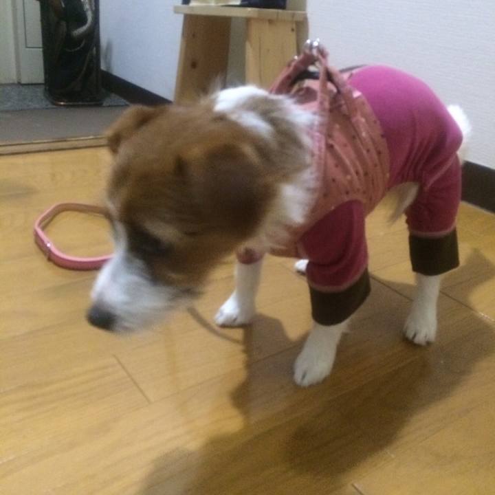 767ebb55 3d0d 4927 bbc9 146f56fd4cec