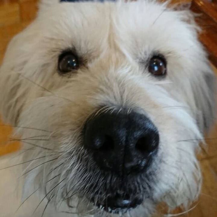 768007b4 4b5c 4a59 9eb0 3188e4130ee4