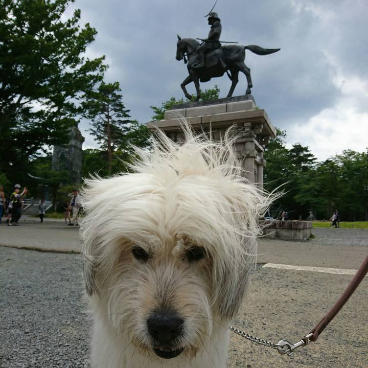 76801559 71c5 442d 9857 2243f8b7194b