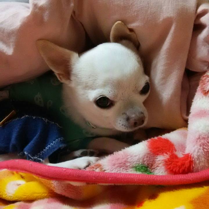 76806b34 837f 45ee a1ff 42b88b8e0573