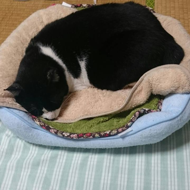 76809080 1952 4147 a392 14917177d549