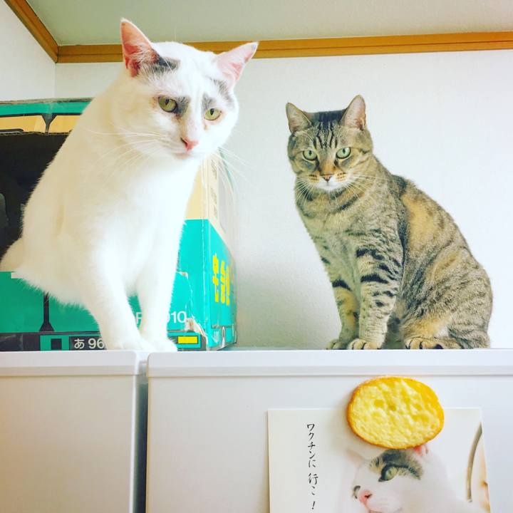 7680a07c 61cf 4bda ab87 da715acc6f6d