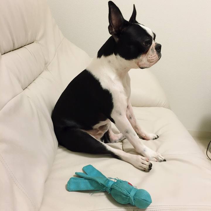 76812643 49f6 4480 9aae d366e9dc6b2c