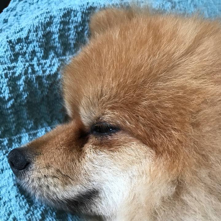 76816a1f 36a0 4422 9549 ad2bb0638baf