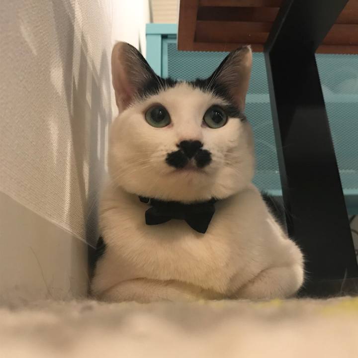 7681beb1 0644 4b03 8357 d9860a96382b