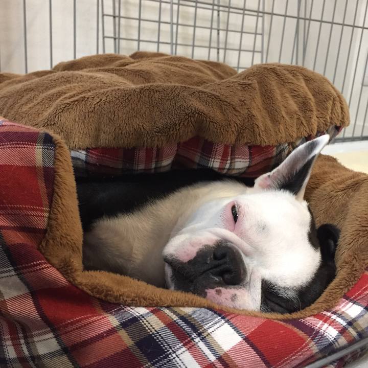 7681c01d 92e9 477c 970e d4831fe7eaa5