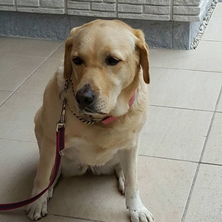 7681cd78 37fe 4306 a612 55daa5e9818a