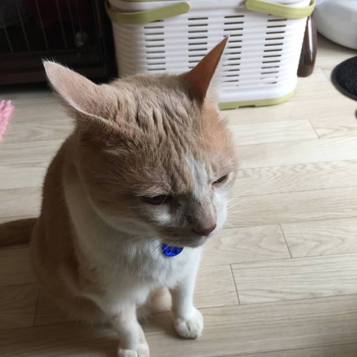 7681fa94 04ba 4c10 ad90 fe5eee91ae22