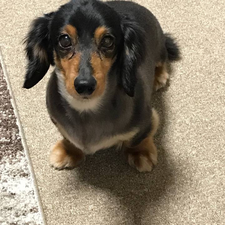 76822331 89a9 4cdf bb1a e54f4be06ecb