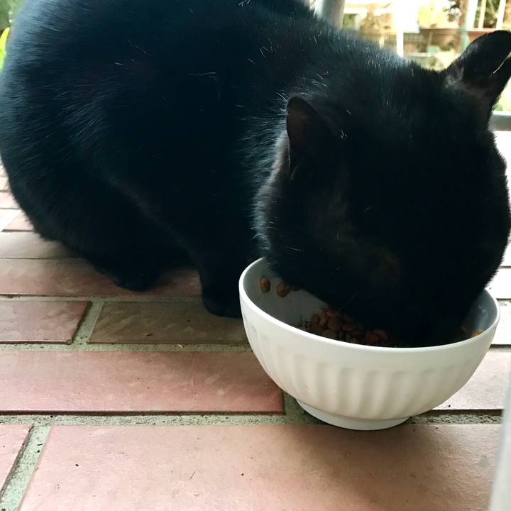 7682309b db51 4e38 b556 cd7b0ac6879f