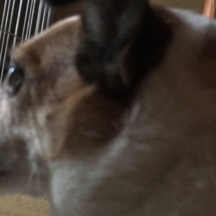 7682453a 13ad 4528 9674 e822cad1a3db