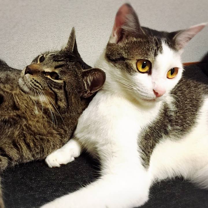 768288c9 68d8 46d9 97f6 efe2a134ad16