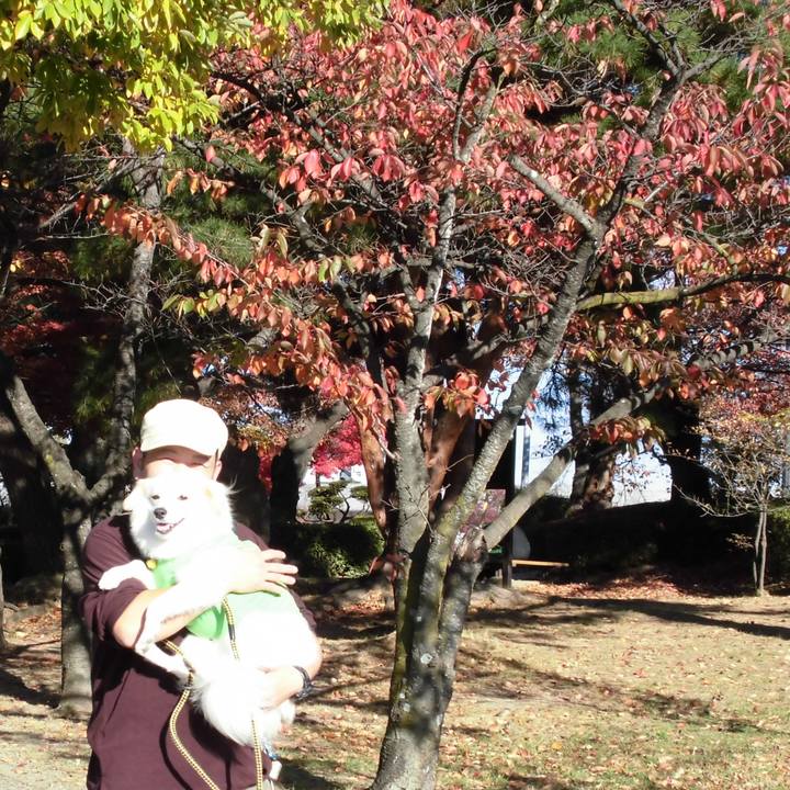 7682fcd7 cac2 44fc 847f c48a1627640a