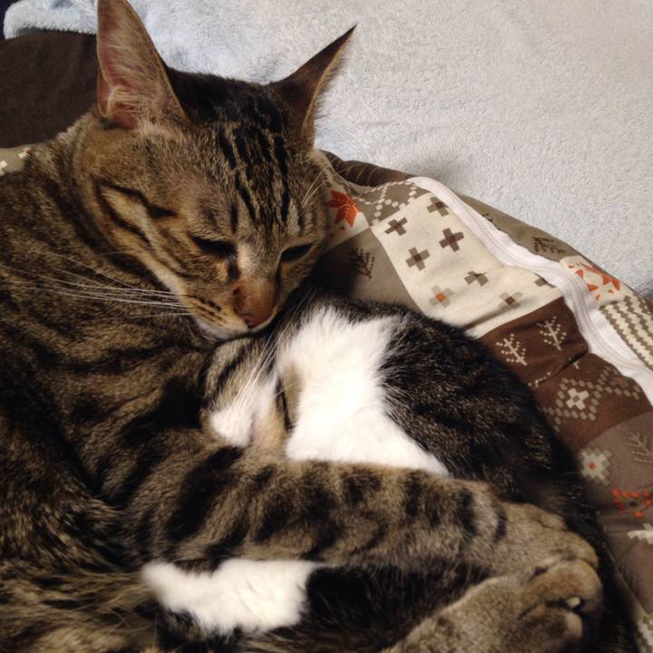 76831c82 8de6 42f7 9d3b d9bd0d4473e2