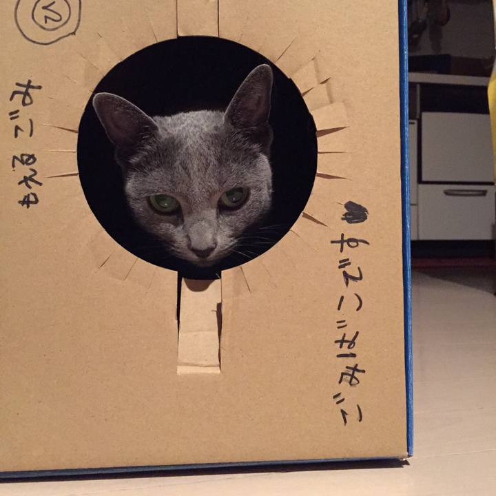 76833ba8 aa60 4d2b a47a a9279af63a33