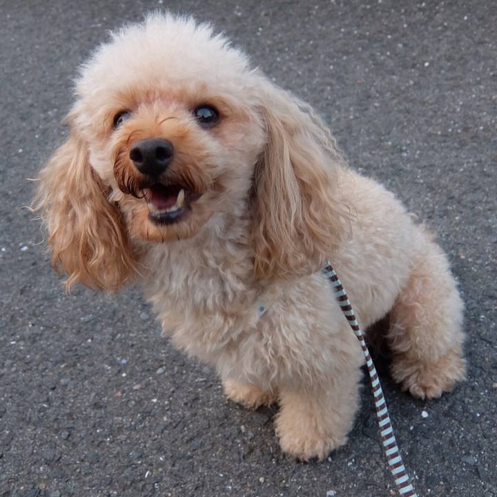 76835652 6d63 4cdd 92f8 2b8d76cd2e67