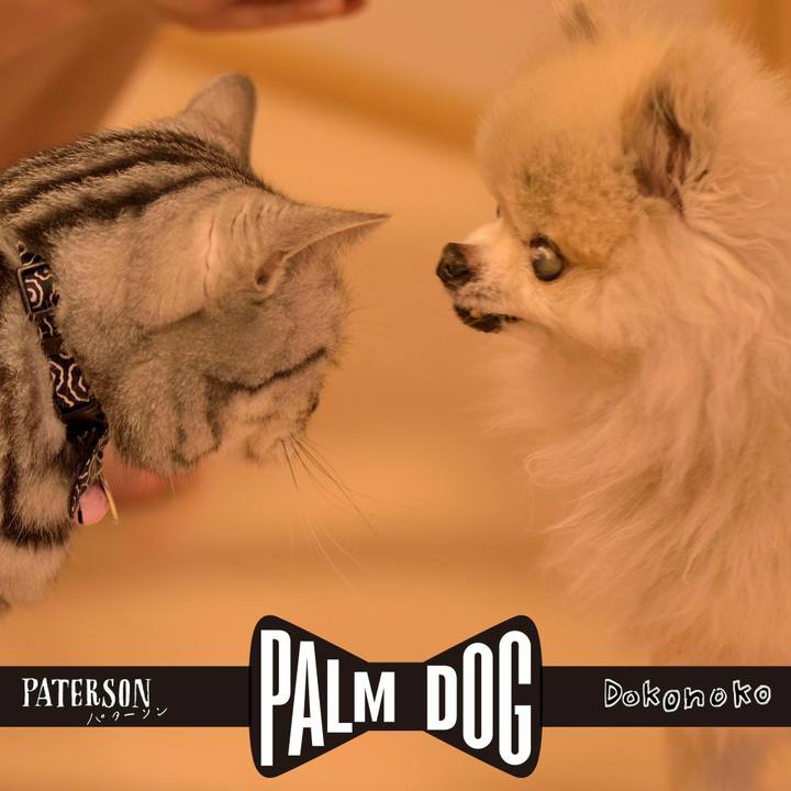 76839567 5502 473d ac42 b0ac455c6546