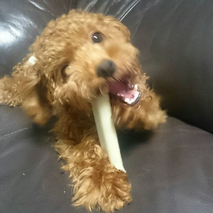 76840b1f a97b 499f 90fc fd9ced378732