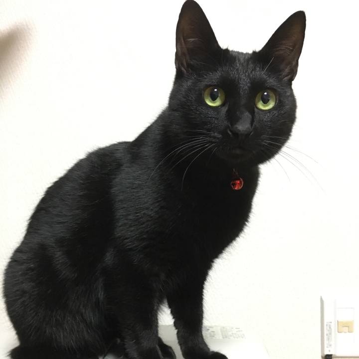 76842f0b 2877 4c93 a8e8 1607d8dd9116