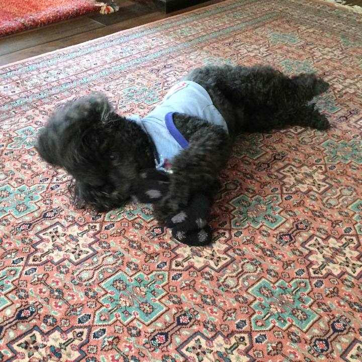 76847098 bcf7 4acf 85bd b11bd4ae49d3