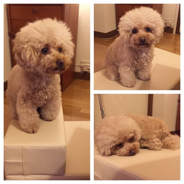 768492c2 0b3d 4b9c 98b2 e7b5f22b6317