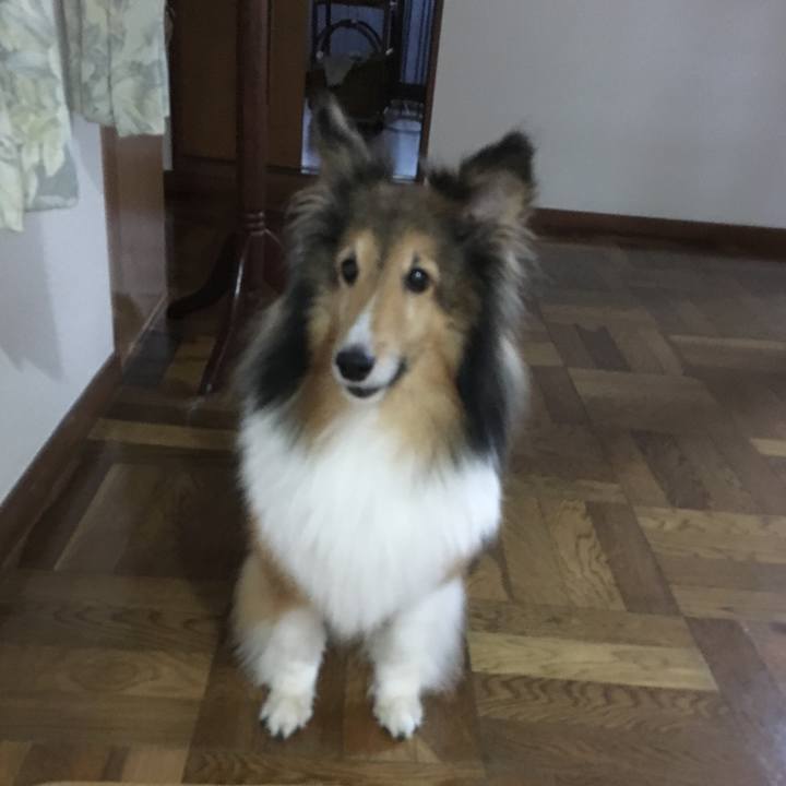 7684c8ff fc50 4823 8909 91fbf1dba51b