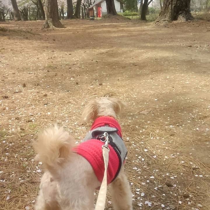 768558a4 cd8c 42d7 ad19 c00355ec0ffe