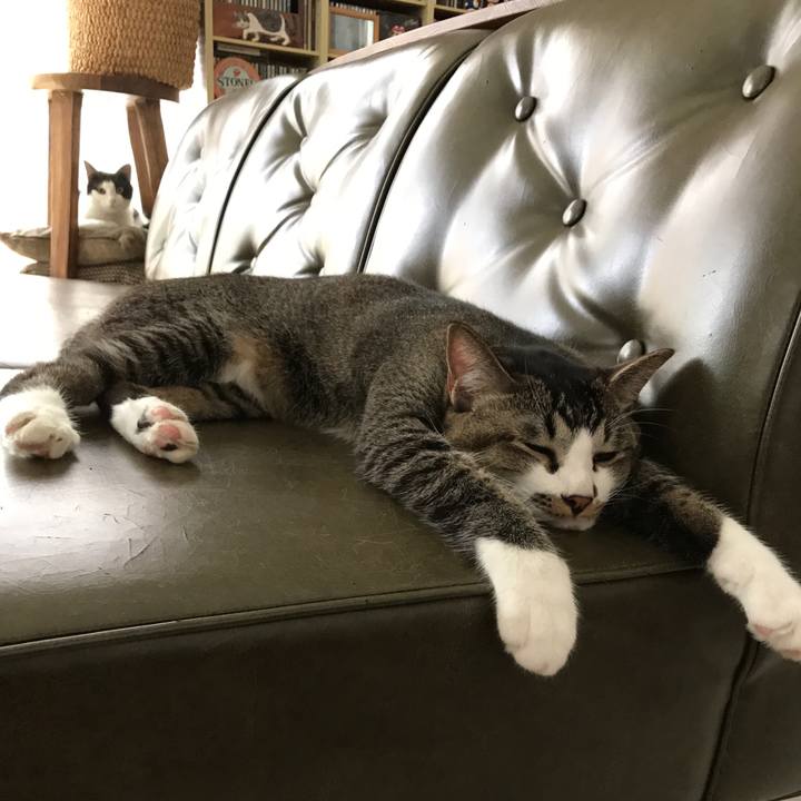 7685826f 911d 4ccf 94a5 62c2e10519c2