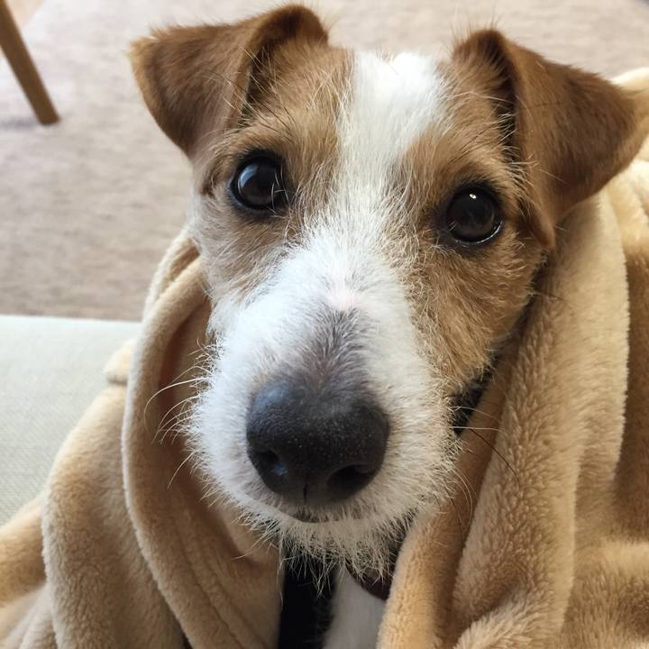 7685a767 77d7 47de b04a cbeb3bbf2c37