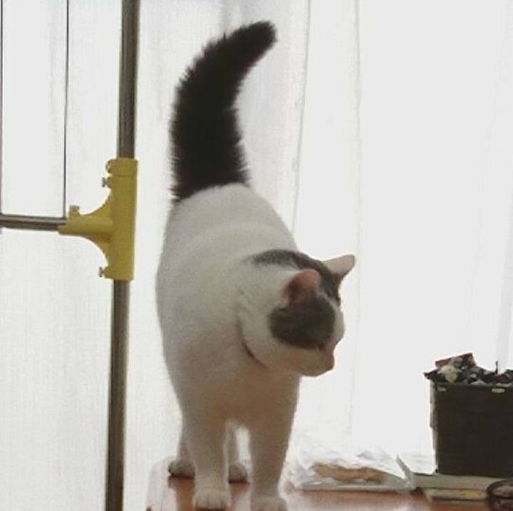 7685dfde beef 4083 8d55 315613a93b95