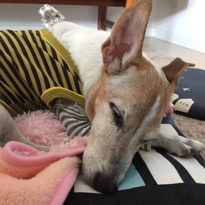 76867fb9 63ff 4184 9499 79259d133794