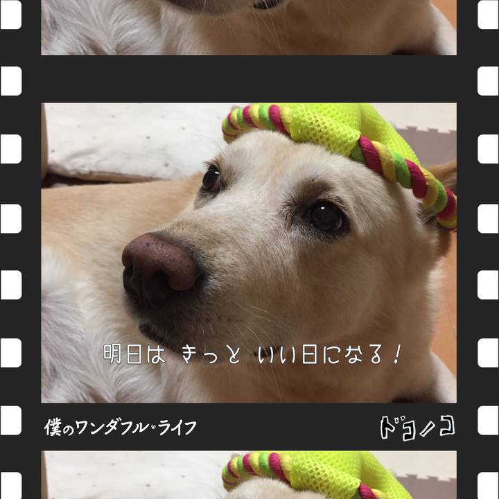 76868eea 9f94 4255 b340 dc181a798ed0