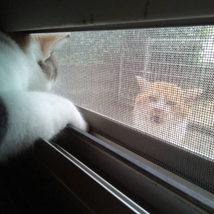 7686de33 f871 4fda abb7 fb0ba926795d