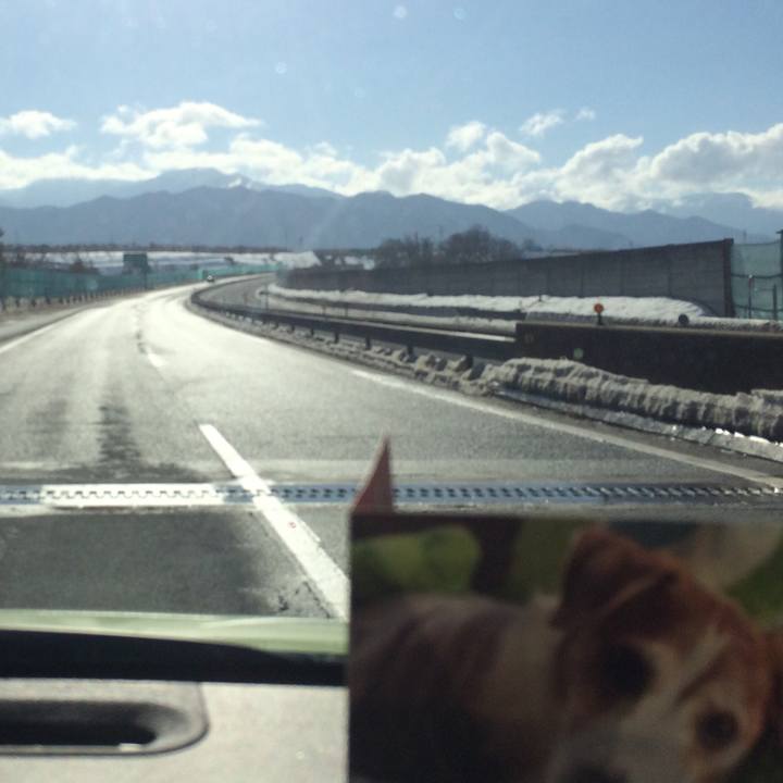 768722ba c203 451f bbd7 40741d6a1bb5