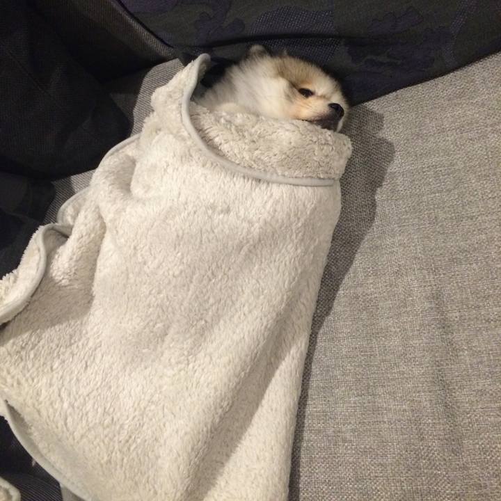 76872adc 3213 4797 8823 4ffcaa867152