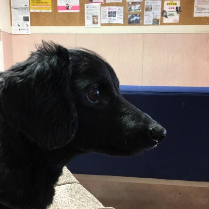 76878afc 466c 4904 a04a e79e74360c56